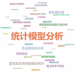 小派推出全新中小型數據處理分析服務，即刻接單