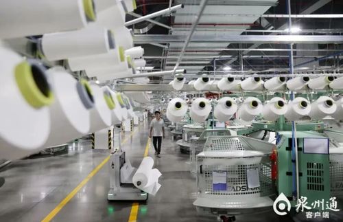 數(shù)據(jù)出爐，鯉城全力打造“世遺萬(wàn)國(guó)商”設(shè)計(jì)服務(wù)新高地